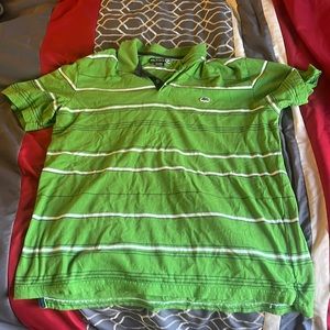 Green and white striped pollo